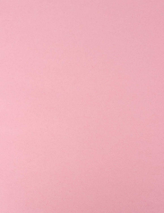 50 Colored Pink Sheet Card Stock Paper - Vellum Bristol Cover, Copy Paper, Printer Paper, 67lb, 147gsm, 8.5" x 11" Thick Paper